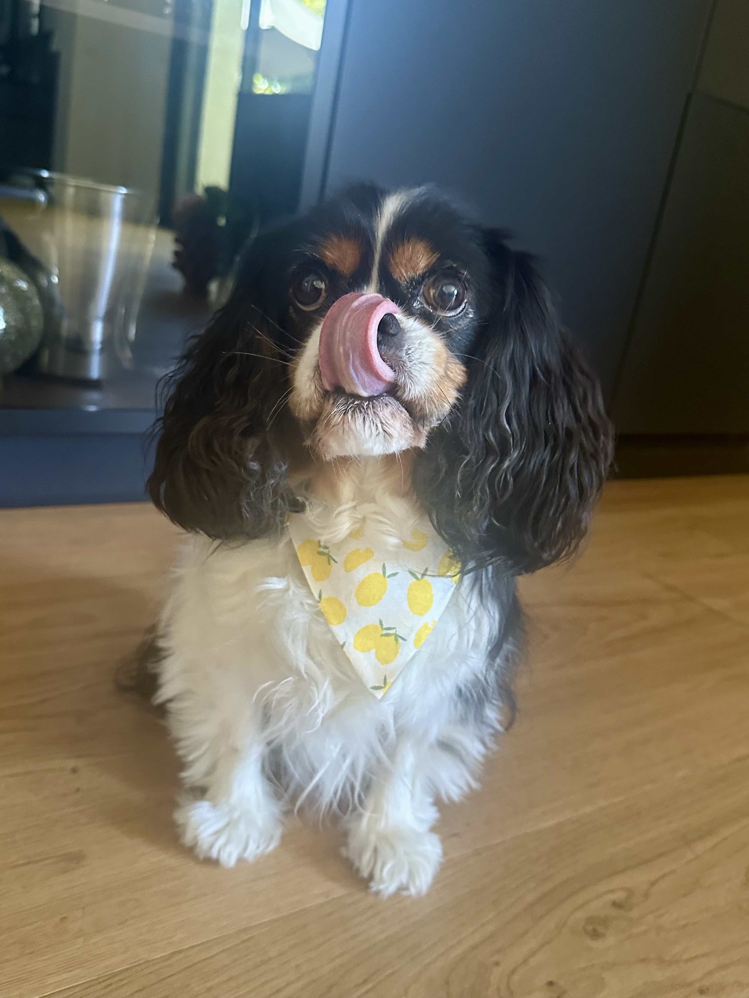 Bandana Limoncello